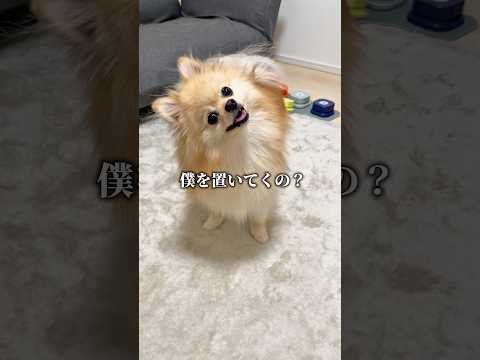 なんで僕だけ置いてくの？