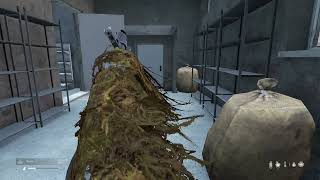 DayZ(Xbox Series S) broadcast archive 20221030(rounds21 - day6)