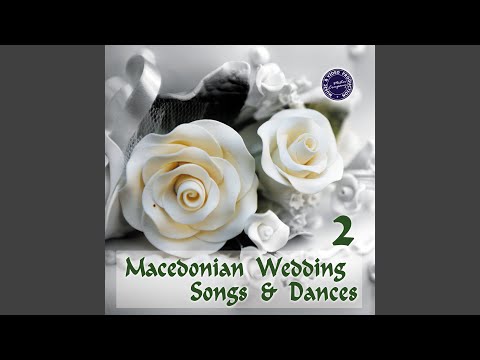 Svirete Mi Pesna Ergenska