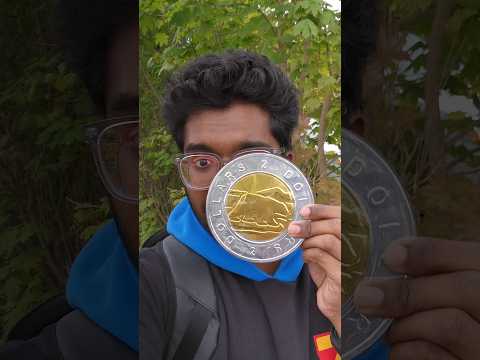 Giant Chocolate Coin