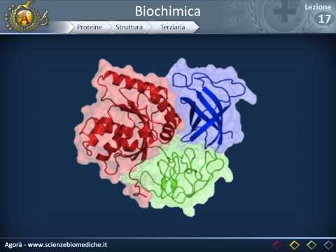 Come liberarsi da parassiti in rimedi di gente di pancreas Sangue su parassiti a bambini da un dito o una vena