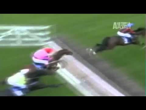 [TweenieZELL] Untamed&Uncut-Horse Catapults Jockey