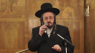מפעלי תורה עוז והדר – גישה שמרנית במיזמים תורניים לכל ישראל. – הרב מנחם מנדל פומרנץ