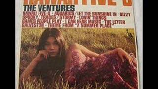 Theme from "A Summer Place" - The Ventures