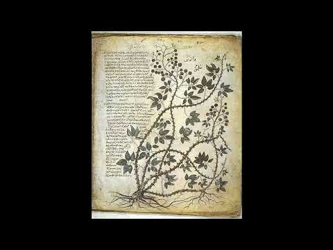 De Materia medica de Dioscórides