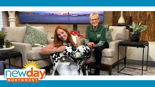 SEA pups program offers wagging tails - New Day NW