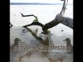 Gray Lines of Perfection - The Face, the Forgery, the Forgotten