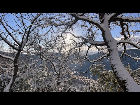 Fireside Chat with Eimear 192