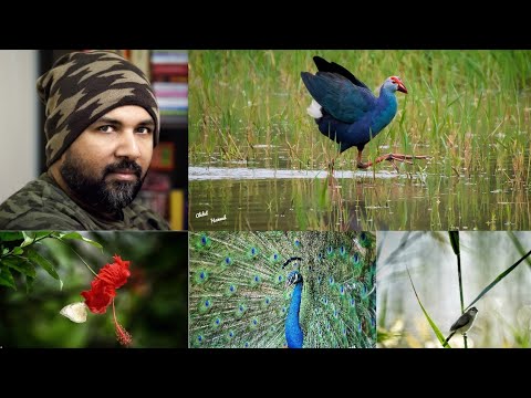 30 Amazing Photos Taken By Abdul Hameed