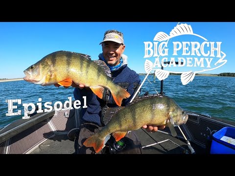 BIG PERCH ACADEMY/ EPISODE 1