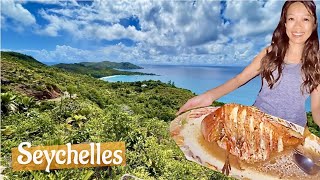 Seychelles 🏝️ where to stay in Praslin island - Terrasse sur Lazio 🌴