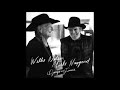 Alice In Hulaland by Willie Nelson and Merle Haggard from their album Django and Jimmie