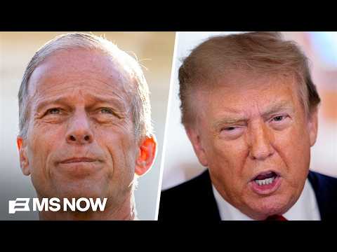 GOP Senators 'practically begging' Trump to 'knock it off' with 'playground insults': Journalist