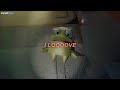 Malcolm Todd Chest Pain I Love Sub Español Lyrics I Love Repo Song