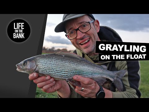 THE SEARCH FOR BIG GRAYLING - WINTER FISHING