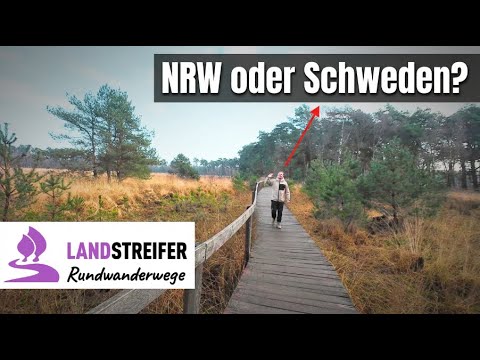 Vergiss normale Waldwege: Diese 16km Tour überrascht komplett!