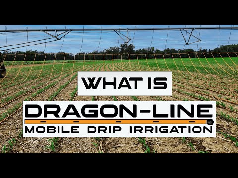 What is Dragon-Line? Transforming Pivot Irrigation through drip technology.