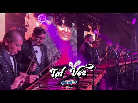 Tal Vez  -  Internacionales Conejos 4K (Video Oficial)