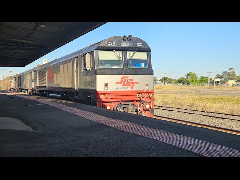 1PM9 SCT up "Dark Ghost" (CSR CSR SCT, 69P), Forrestfield to Laverton, 0830, 18/12/25, Horsham VIC 