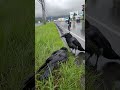 A crow's bond, deeper than we understand.