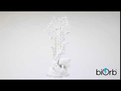 Watch Video on YouTube