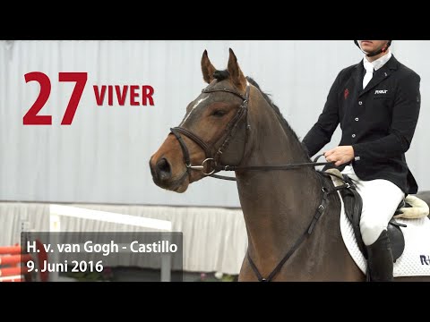 27 Viver Hengst v. Van Gogh - Castillo