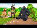 Gorilla dinosaur wolf an monkey fight for banana by Mr lavangam