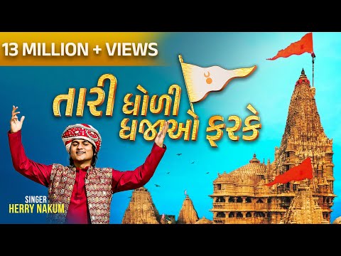 Tari Dholi Dhaja Farke | Herry Nakum | New Gujarati Song 2025 | (Official Music Video)