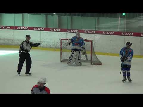 2022.03.23 Pilsen Wolves – HC Tábor III