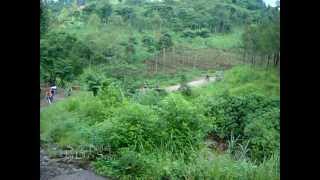 preview picture of video 'Bike Track Kebun Teh Kertowono'