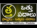 Tha Vattu Padalu | How to write Tha vattu | త వత్తు పదాలు | Hallulu vatthulu padalu in telugu