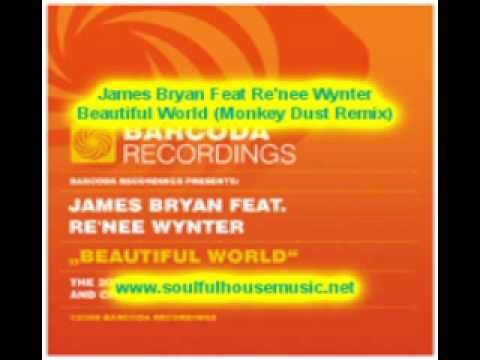 James Bryan Feat Re'nee Wynter Beautiful World (Monkey Dust Remix)