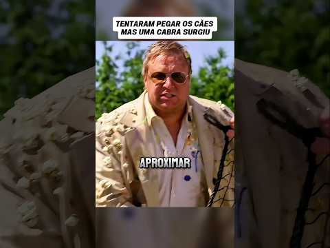 tentaram pegar os cães e isso aconteceu #ftv #filmes #cenasnarradas