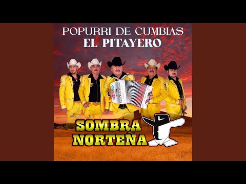 Popurri de Cumbias: El Pitayero