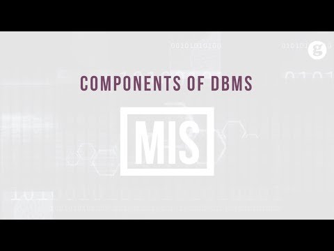 Information Systems in Life