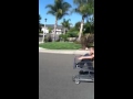 Jackass shopping carts 2
