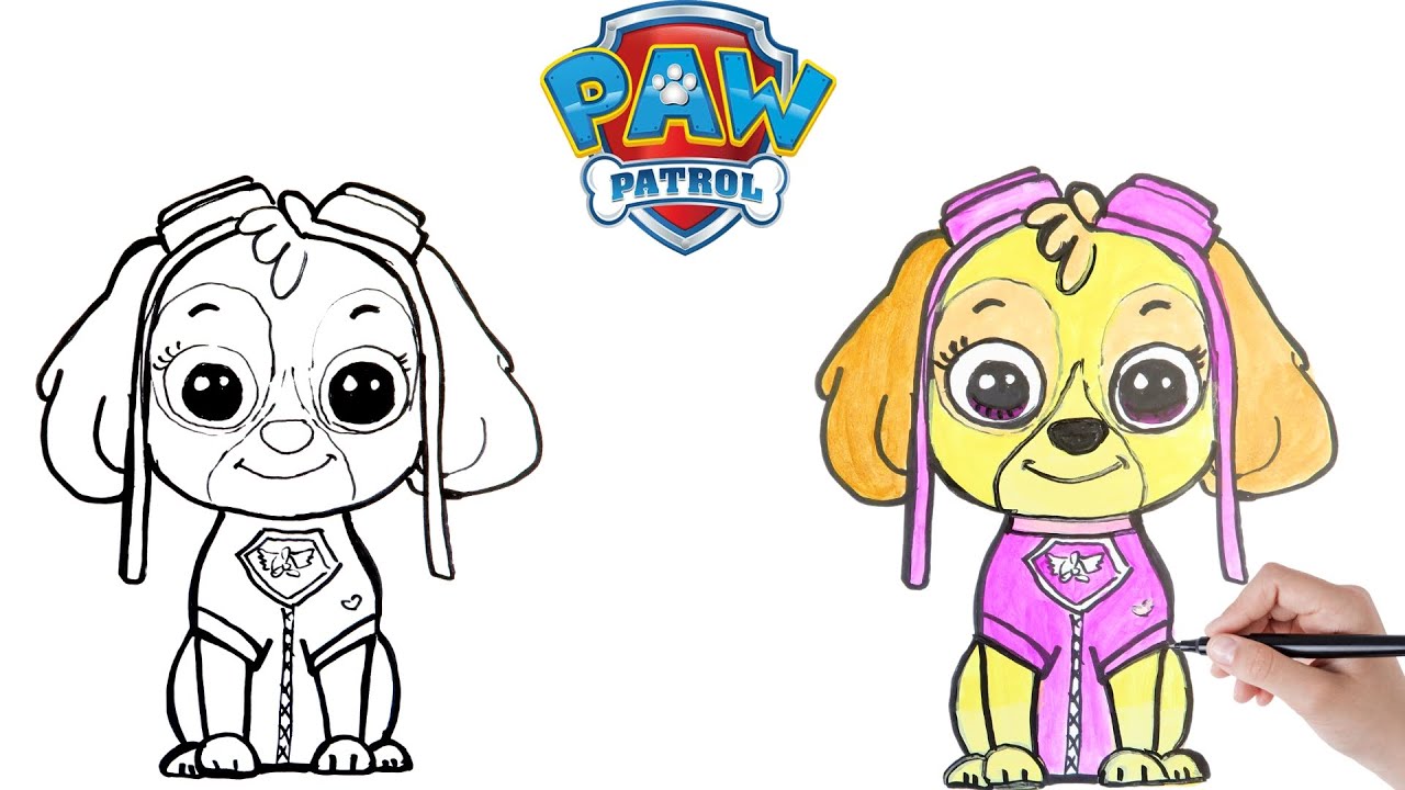 Comment dessiner stella - how to draw stella - paw patrol