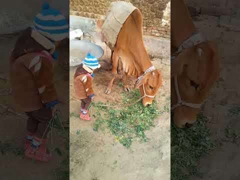 Mr Vicky Yt ka video shorts 😈🤬🥺🥵😤❤️😤❤️😤🥵😤🥵😤🤬😈😍😈😜😈😜😈😈👏😈😥😈😥😈❤️😈🥵😈🤬😈😘😈