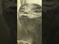 Little green men visited Mexico City as lawmakers heard testimony Tuesday. #mexico #aliens #bodies
