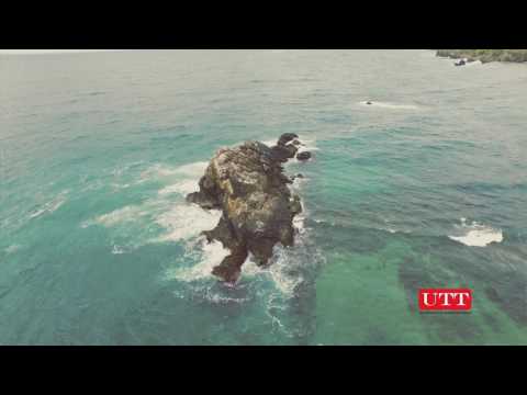 Why UTT - Environmental Studies