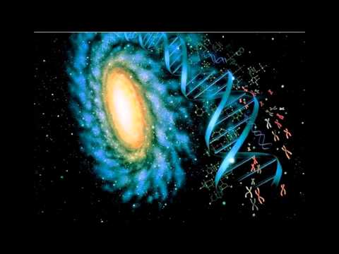 Ewerz - Otro - [Neo Record's]