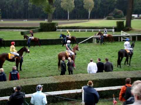 119. Velka pardubicka 2009 - pred zavodem
