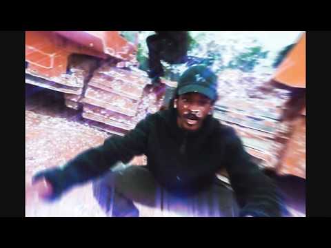 Shark Breach - Make A Wish