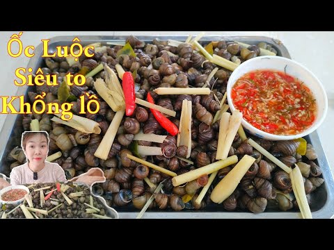 Ốc luộc xả ớt - Cách luộc ốc ngon nhất không bị tanh. /Bếp của em #70