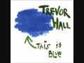 Trevor Hall - Well I Say (With Lyrics) 