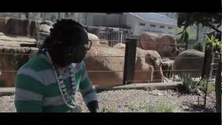 Elephant Man - Best Harlem Shake [Official Music Video]