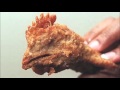 Rock And Roll McDonalds Ear Rape