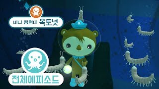 바다 탐험대 옥토넛 - 바다벌레 (시즌1 에피소드14 - 전체에피소드)
