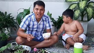 Ốc Bươu Vàng Sốt Thái Siêu Cay/Siêu Ngon