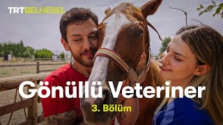 Gönüllü Veteriner | 3. Bölüm | TRT Belgesel